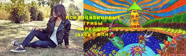 тгк Аркадак