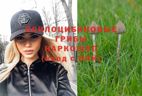 тгк Аркадак