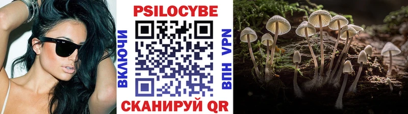 мориарти наркотические препараты  Тамбов  Галлюциногенные грибы MAGIC MUSHROOMS  цена наркотик 