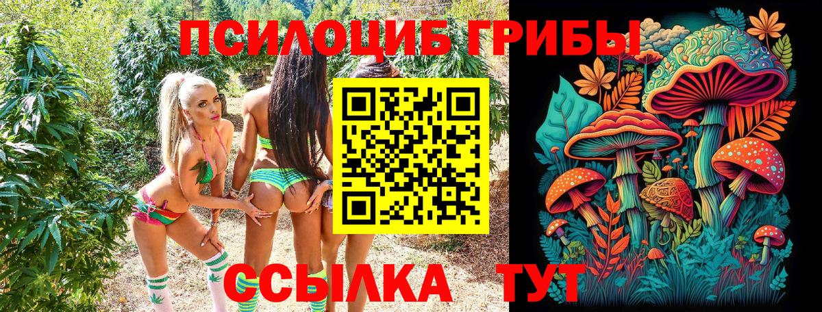 Псилоцибиновые грибы прущие грибы  Вход с VPN  Тамбов 
