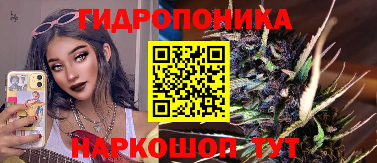 Тамбов  Бошки Шишки Bruce Banner  Вход с VPN  Бошки марихуана Bruce Banner  Канабис SATIVA & INDICA  МАРИХУАНА семена 